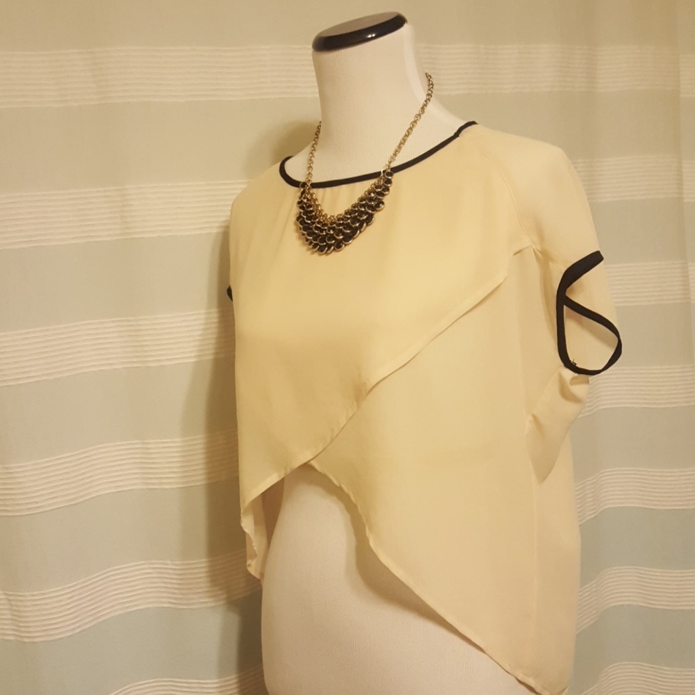 Sheer Beige Blouse - image 2